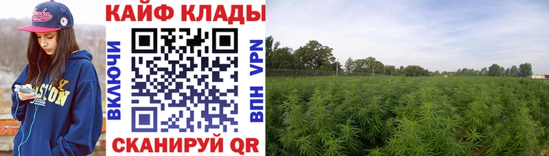 Где найти наркотики Вязьма Амфетамин  COCAIN  Alpha-PVP  Мефедрон  МЕГА маркетплейс  Каннабис 