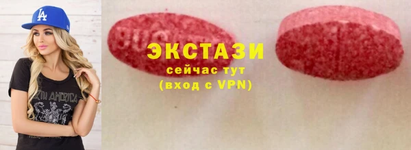 гидра Богородск