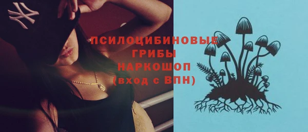 гидропоника Белокуриха