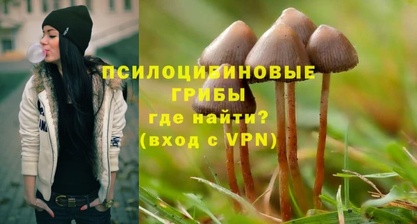 гидропоника Белокуриха