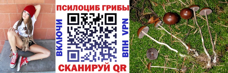 цены наркотик  Вязьма  Галлюциногенные грибы мухоморы 
